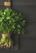 Bunch of fresh Cilantro, on a gray wooden table, close-up, top view, no people