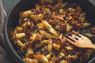 Fried chanterelles with mushrooms, in a clay pan, close-up, top view, selective focus