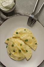 Pierogi, a traditional dish of Polish cuisine, dumplings, top view, close-up, no people