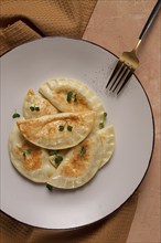 Pierogi, a traditional dish of Polish cuisine, dumplings, top view, close-up, no people