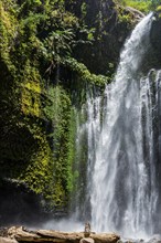 Sendang Gile waterfall, nature, landscape, flowing, river, fresh, clear, clean, environment,