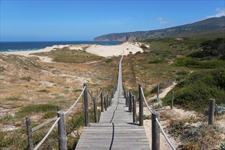 Wooden path through sand dunes and vegetation with sea and rocks in the background, clear sky,