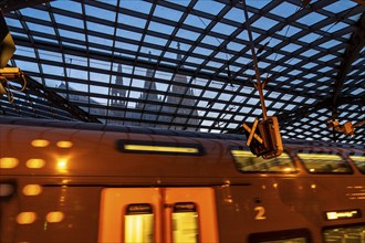 Cologne Central Station, RRX, regional express train, glass roof, Cologne Cathedral, Cologne, North