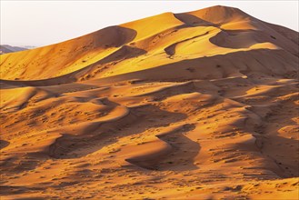 Wind-sculpted, curved, sand dunes in the Rub al Khali desert, Dhofar province, Arabian Peninsula,