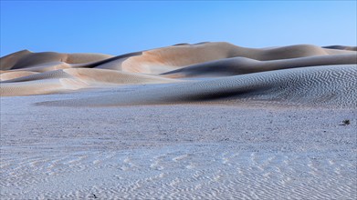 Wind-sculpted curved sand dunes in the Rub al Khali desert, Dhofar province, Arabian Peninsula,