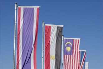 Several flags of different countries fly side by side under a clear blue sky, Thai flag, Malaysian