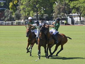 Scene from the 131st Argentine Open Polo Championship (Spanish: Campeonato Argentino Abierto de