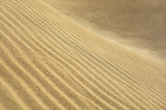 Close-up of sandy dunes with clear, undulating textures and patterns, Canary Islands, Lanzarote,