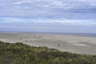 People on the beach, De Cocksdorp, Texel, West Frisian Island, Province of North Holland,