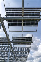 Agri-photovoltaic test plant, an apple orchard with two different systems of PV modules was roofed