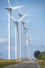 Wind farm on the Nordzeeweg, on a long spit of land between the Maas and the Calandkanaal in the