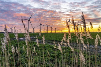 Wind farm near the East Frisian town of Norden, east of the town, sunset, Lower Saxony, Germany,