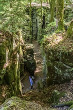 The Devil's Gorge, narrow, accessible gorge of sandstone rocks, with steep rocky gorges, near