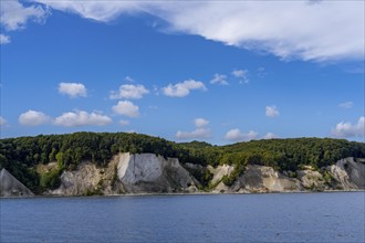 The chalk cliffs of Rügen, cliffs of the Stubbenkammer, in the Jasmund National Park, view of the