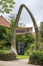 Friesen Museum, blue whale lower jaw, Wyk, Föhr, North Sea island, North Friesland,