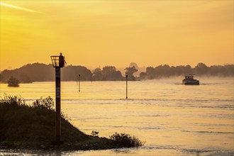 Cargo ships on the Rhine near Emmerich, early morning, sunrise, fog, mist on the river, North