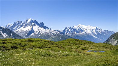 Mountain panorama with glaciated mountain peaks, Aiguille Verte with Aiguille du Midi and Mont