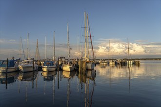 Sundsøre Marina on the Limfjord, Thise, Salling Peninsula, Denmark, Europe