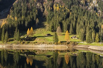 The Vordere Gosausee and the hiking trail around the lake in autumn. Two typical houses. Yellow