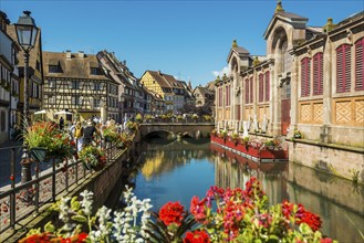 Picturesque colourful half-timbered houses, La Petite Venise, Colmar, Alsace, Bas-Rhin, France,