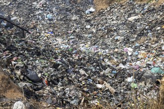 Coking rubbish dump, rubbish pit with waste and plastic rubbish, karst landscape near Vang Vieng,