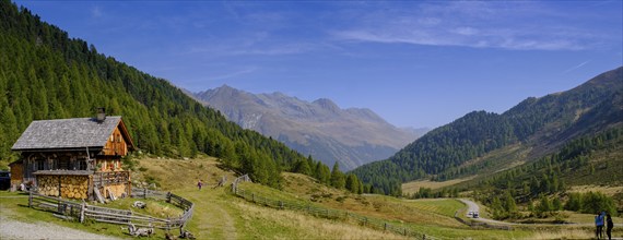 Staller Almen, high valley, Staller Sattel, Defereggen Valley, East Tyrol, Austria, Europe