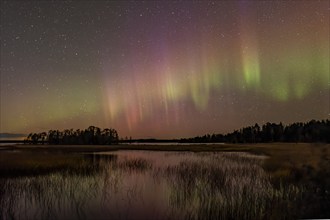 Aurora Borealis, Northern Lights or Aurora Borealis, Lake, Finland, Europe