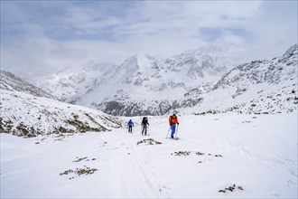 Three ski tourers climbing to the Madritschspitze, snow-covered mountain landscape, Ortler Alps,