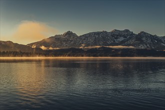 Frosty morning atmosphere during sunrise at Lake Hopfensee in the Allgäu in Bavaria, Germany,