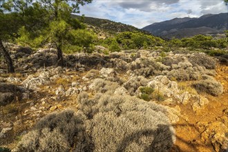 Hiking trail through the high plateau to ancient Lissos near Sougia, Crete, Greece, Europe