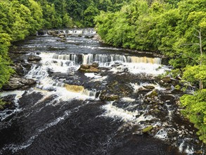 Aysgarth Falls on River Ure from a drone, Yorkshire Dales National Park, North Yorkshire, Englan