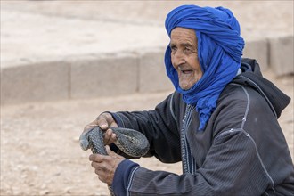 Portrait, old man with typical Moroccan clothing and snake, Morocco, Africa