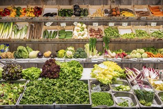 Market stall with a wide range of local and exotic vegetables in the Markthalle Stuttgart,