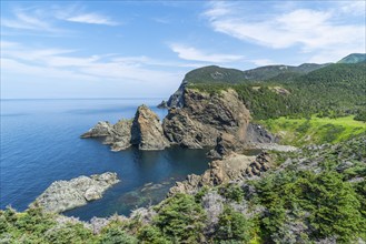 Viewpoint over the rocky coast and the Atlantic Ocean in Bottle Cove Provincial Park, Bay of