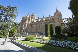 Salamanca Cathedral, province of Salamanca, Castile and Leon, Spain, Europe