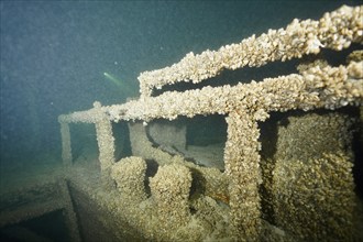 A structure of a shipwreck lying on the lake bottom covered by mussels, quagga triangle mussel