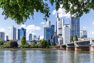 Skyline with skyscrapers in the city centre, river Main and Untermainbrücke in Frankfurt, Germany,