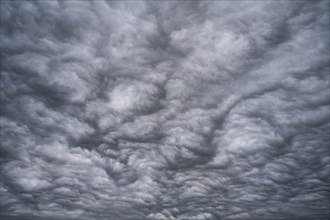 Dramatic cloud formation, format-filling, wavy, extremely structured, closed cloud cover, cloud