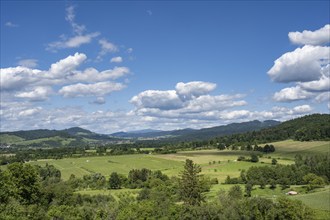 View of the hilly landscape near Staufen, in Breisgau, wine-growing region, Markgräflerland, Black