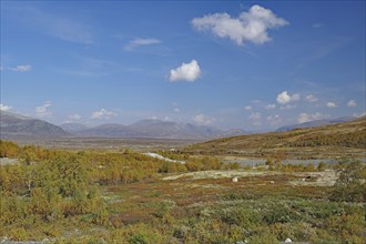 Vast autumn landscape with mountains in the background under a blue sky with white clouds, autumn,