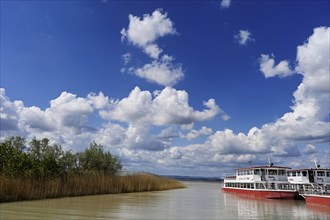 Bicycle ferry at the landing stage, Illmitz, National Park, Lake Neusiedl, Seewinkel, Burgenland,