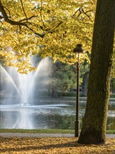 Autumn foliage, colourful trees, fountain in the pond, park Französischer Garten (French Garden),