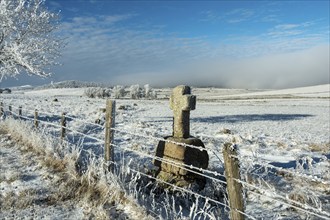 Aubrac plateau in winter. Stone cross at the side of a path. Lozere department. Occitanie. France