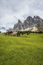 Gschnagenhardt Alm, Geislerspitzen, Villnöss Valley, Sass Rigais, Dolomites, South Tyrol, Italy,