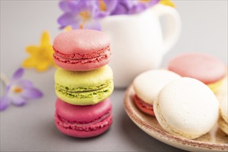 Multicolored macaroons with spring snowdrop crocus flowers on gray pastel background. side view,