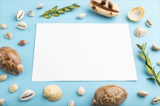 Composition with white paper sheet, seashells, green boxwood. mockup on blue pastel background.