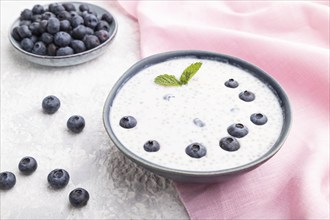 Yogurt with blueberry in ceramic bowl on gray concrete background and pink linen textile. Side