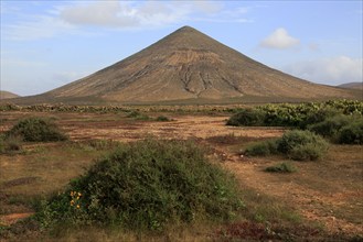 Cone volcano near La Oliva, Fuerteventura, Canary Islands, Spain, Europe