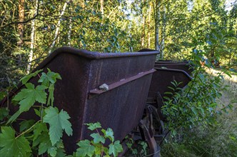 Old dilapidated rusty wagons of a light railway in an abandoned quarry, West Lusatia, Saxony,