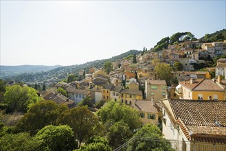 Bormes-les-Mimosas, Département Var, Provence-Alpes-Côte d'Azur, South of France, France, Europe